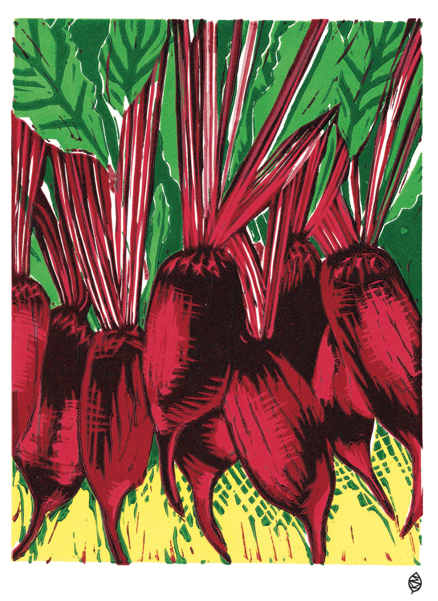 1024 Beetroot