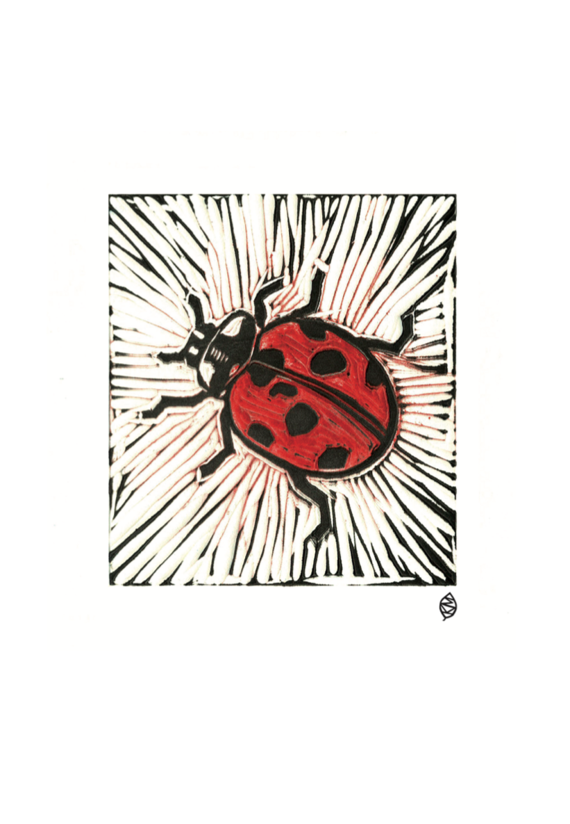 1017 Ladybird