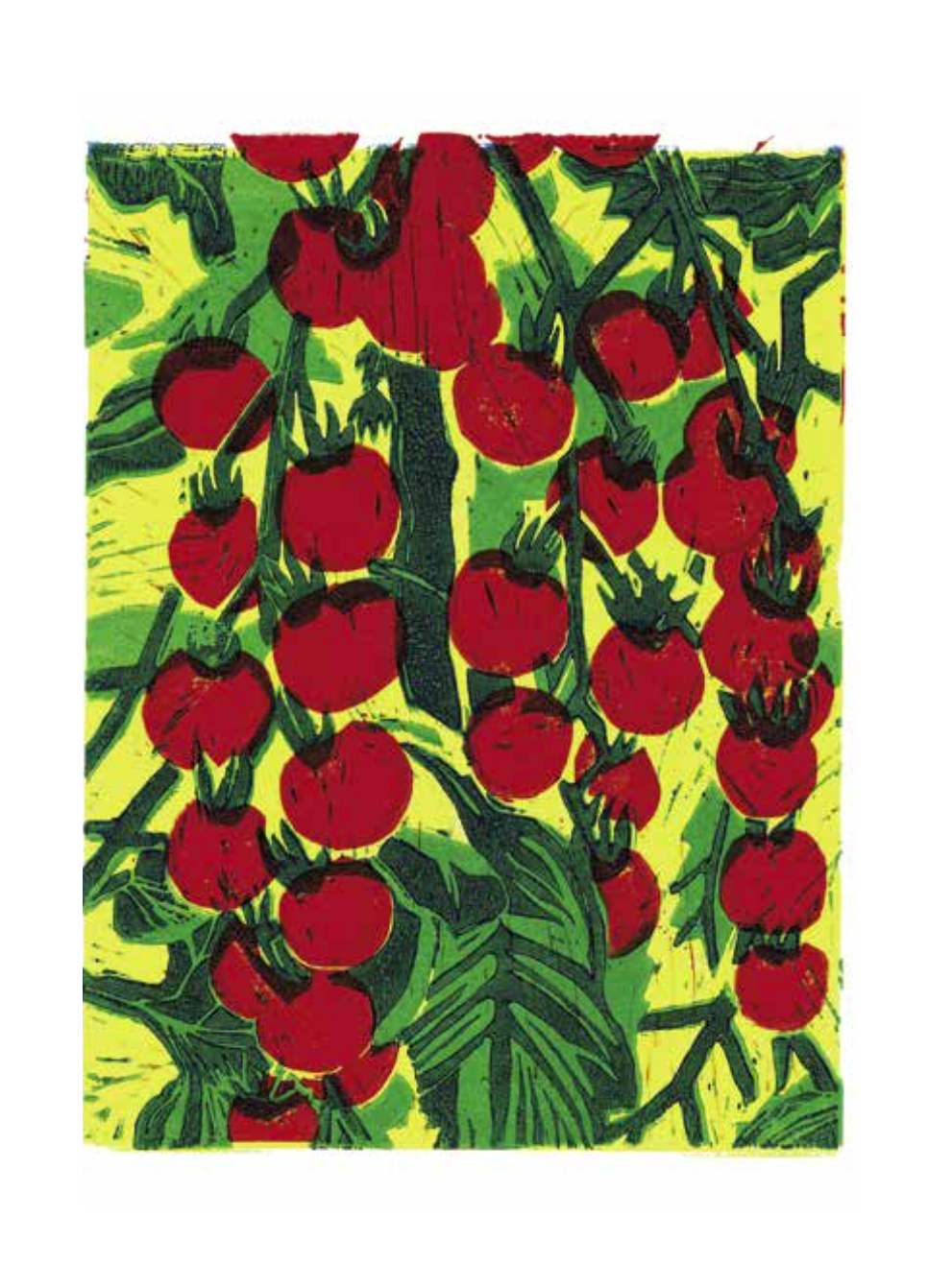 1010 Tomato vines