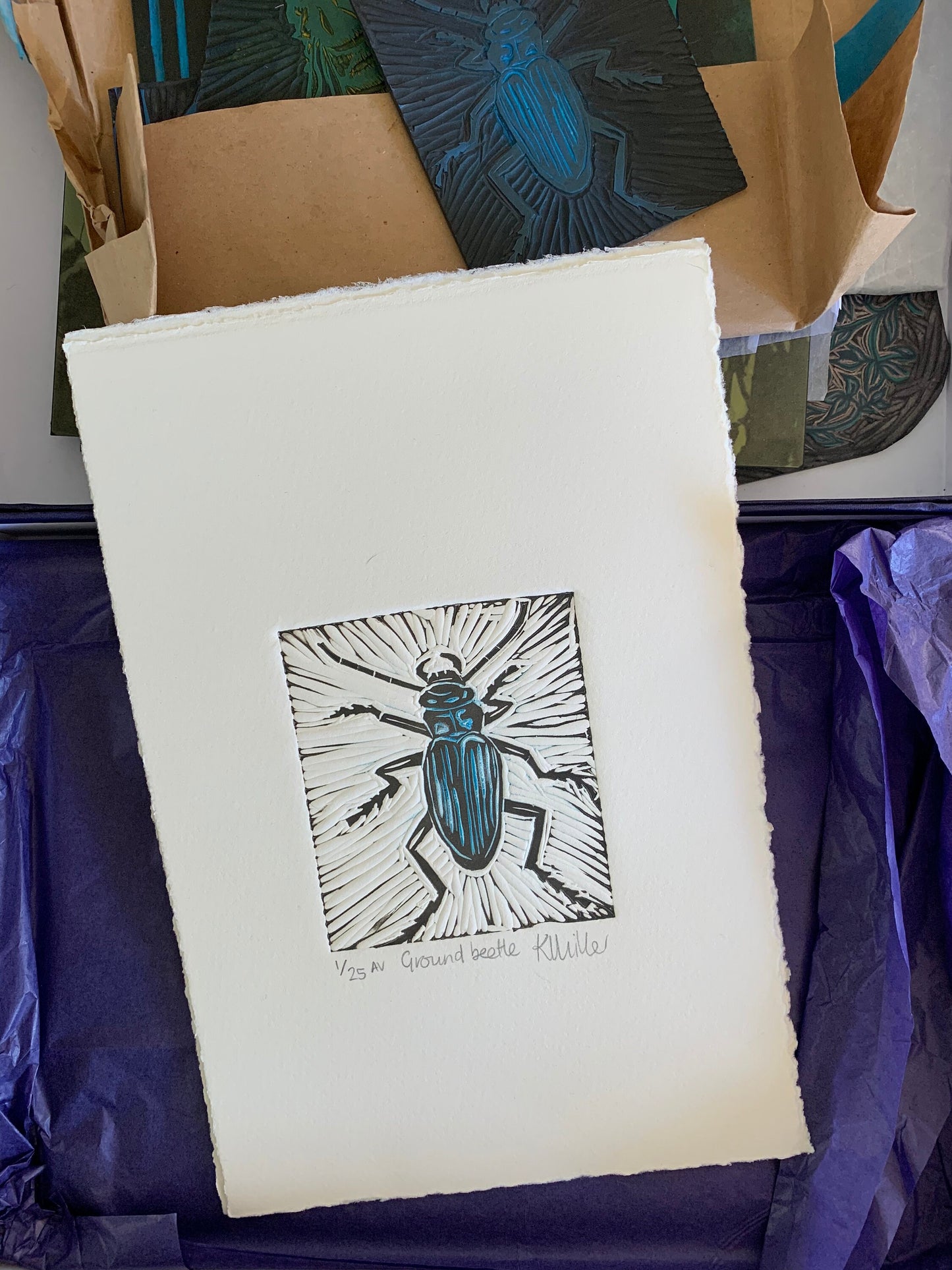 1018 Ground beetle