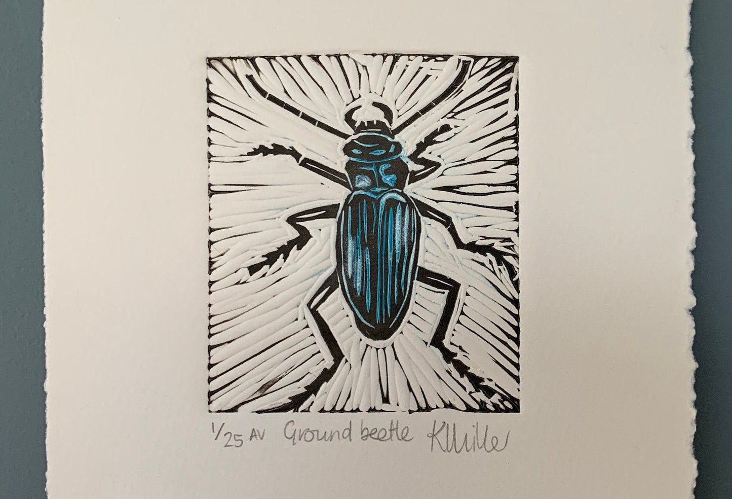 1018 Ground beetle
