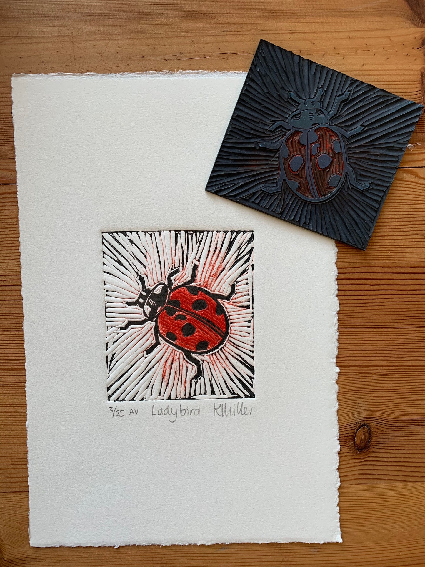 1017 Ladybird