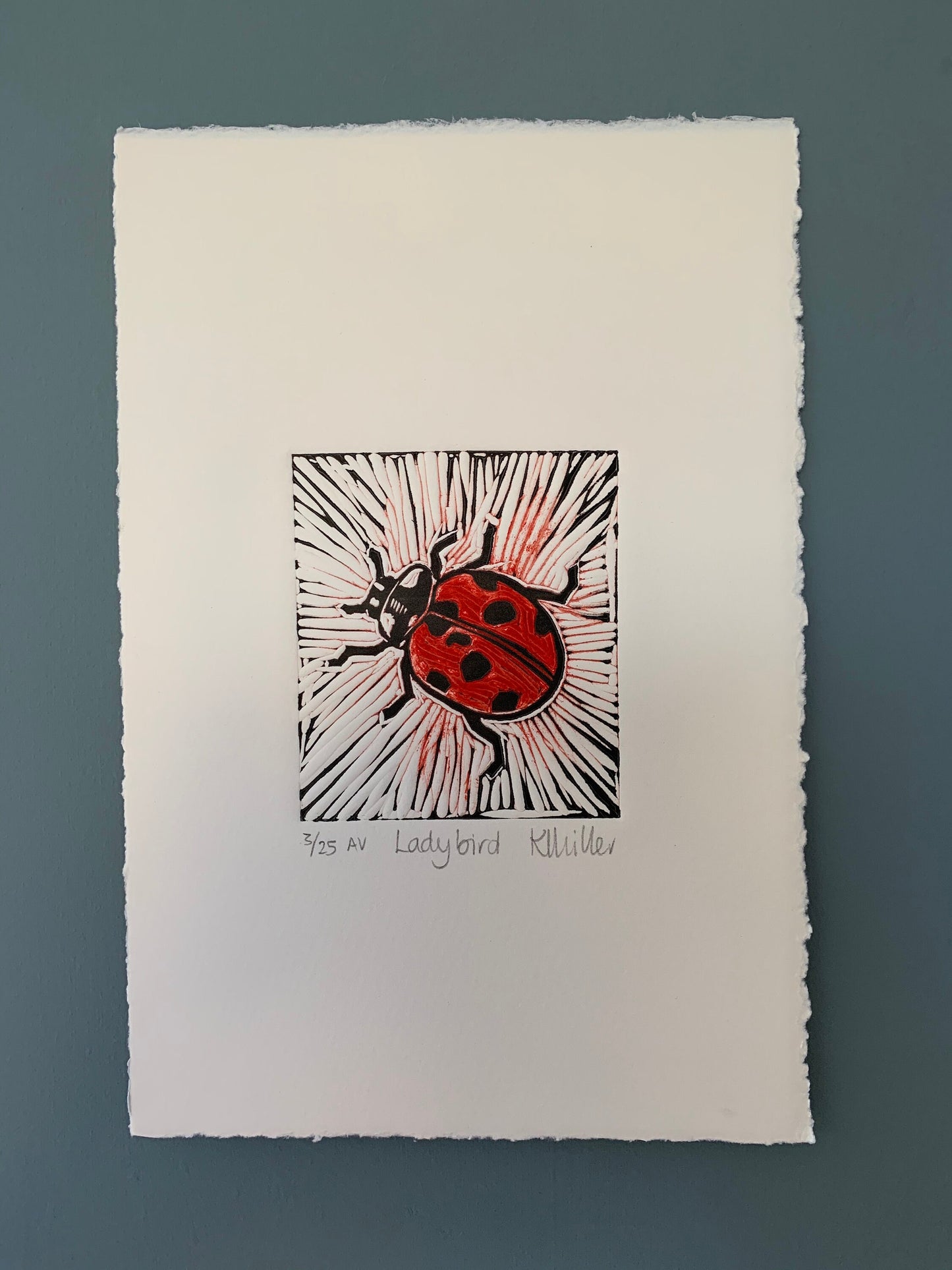 1017 Ladybird