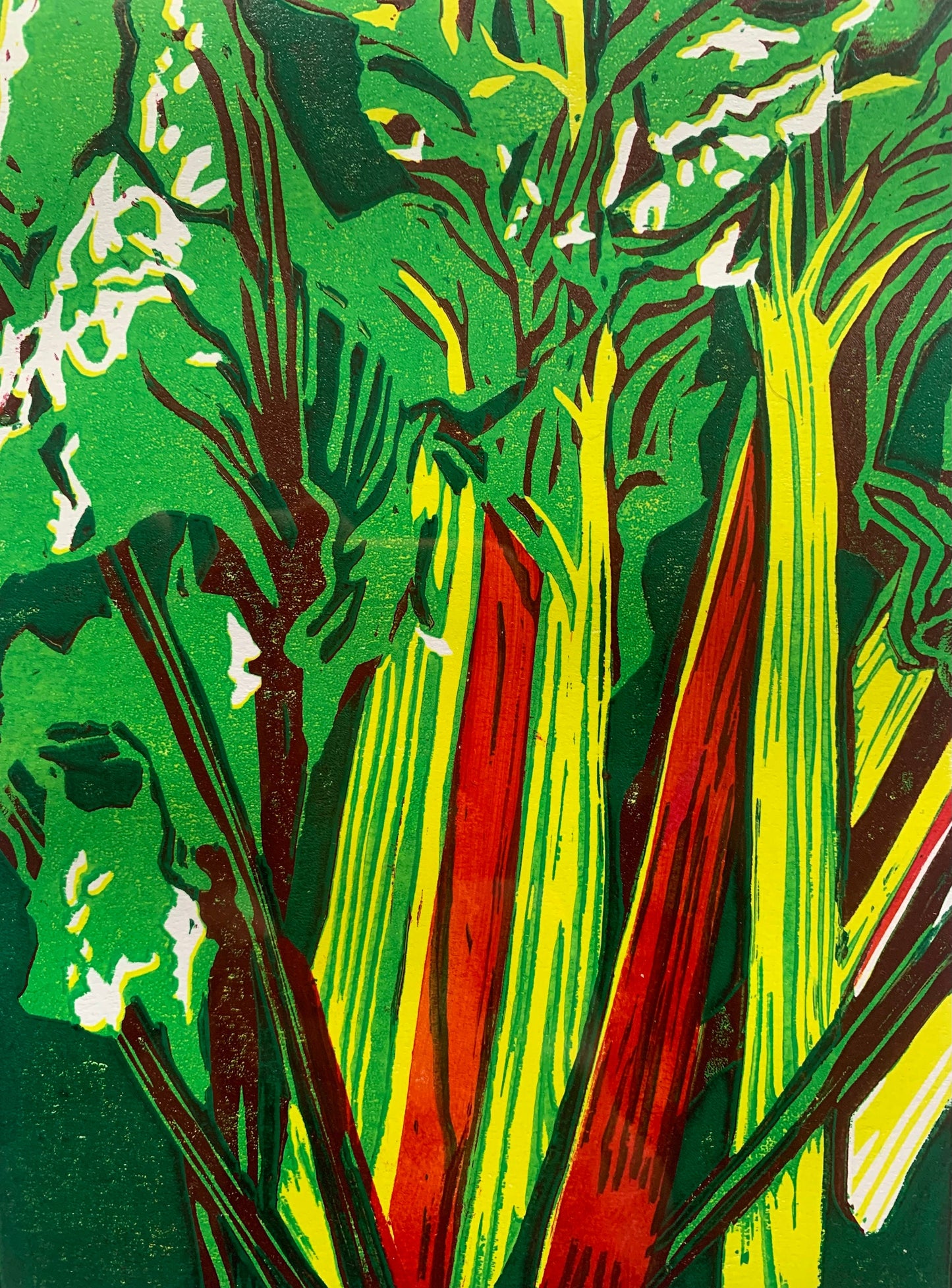 1011 Rainbow chard