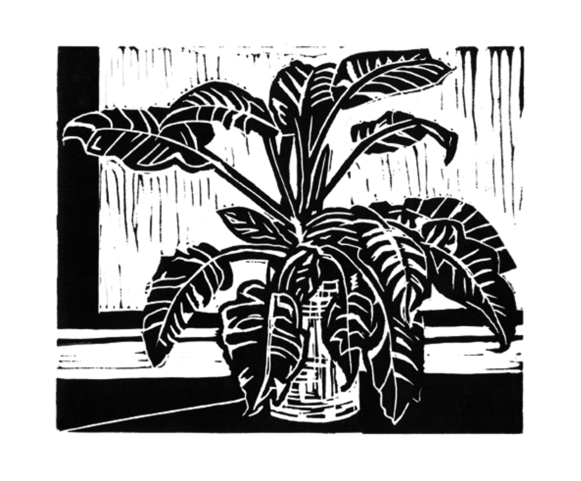 1007 Philodendron