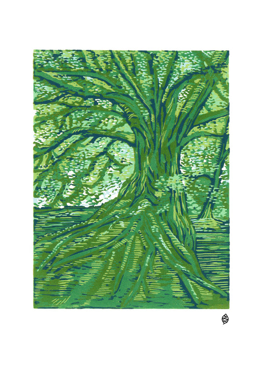 1025 Root to rise