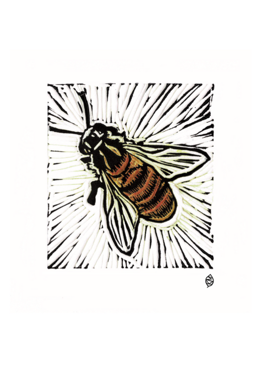 1016 Honey bee