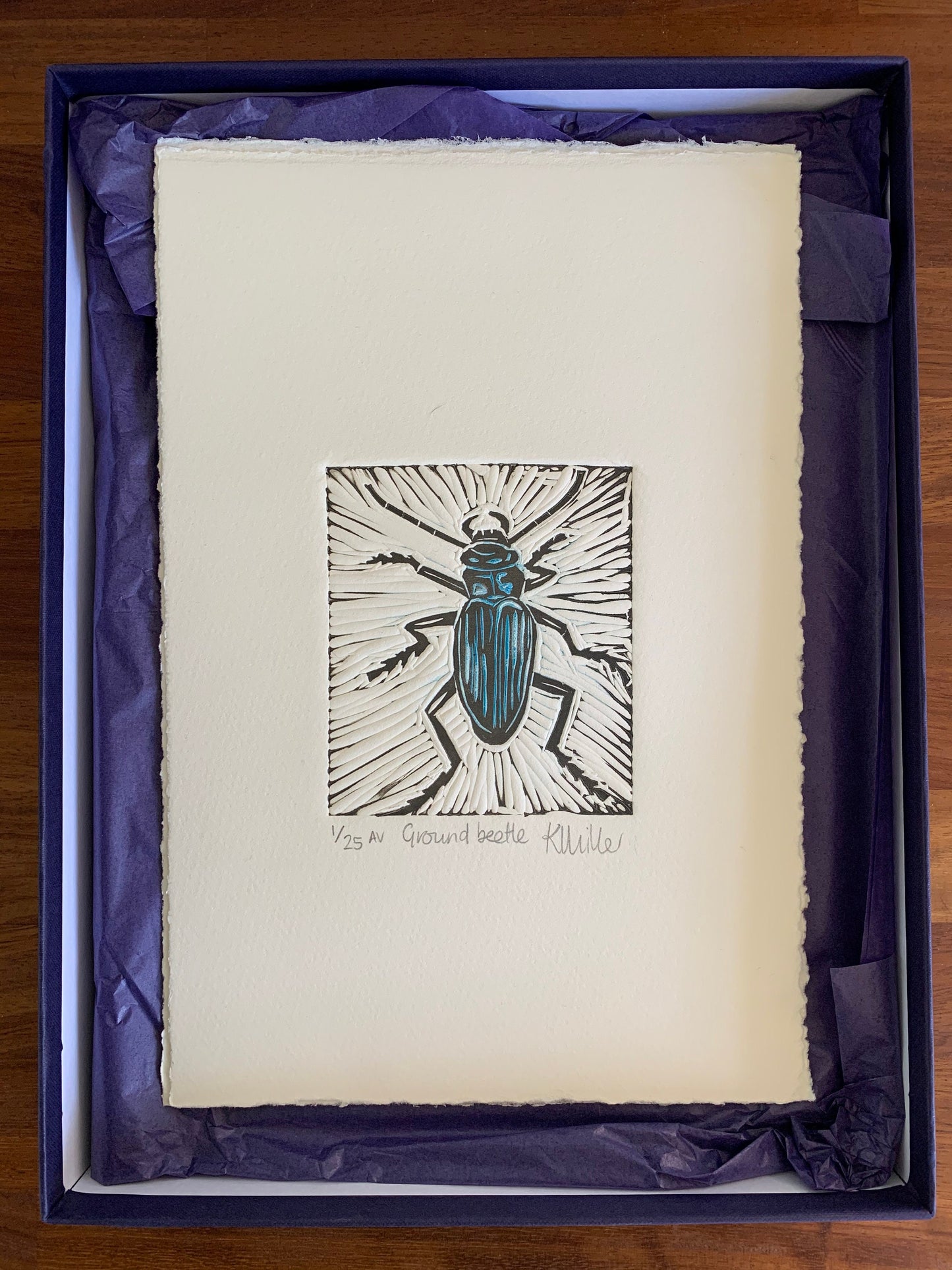 1018 Ground beetle
