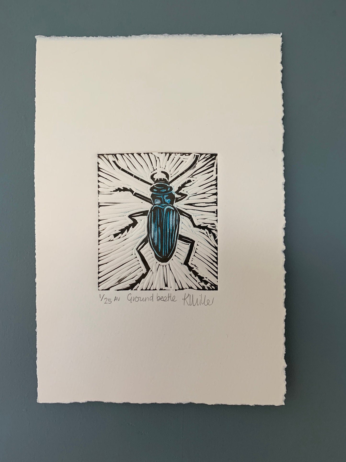 1018 Ground beetle